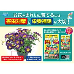 フマキラー カダン パワーガード 250g 粒剤 殺虫剤 カダン パワーガード粒剤 250g フマキラー 殺虫剤 : ペット