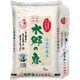 精米 千葉県産 水郷の恵 コシヒカリ 5kg 令和5年産