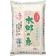 精米 千葉県産 水郷の恵 コシヒカリ 10kg 令和5年産