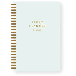 STUDY PLANNER DAILY PALE MINT GSSD-09