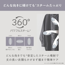 Panasonic 衣類スチーマー NI-FS 690