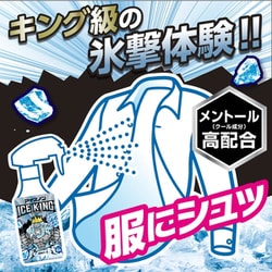 ヨドバシ.com - 白元アース アイスノン アイスノン シャツミスト ICE