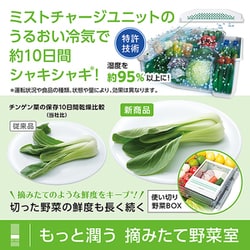 ヨドバシ.com - 東芝 TOSHIBA 冷蔵庫 VEGETA（ベジータ） FZS