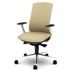 べネス 事務イス 布張り バイカラーフレーム ハイバック アルミ脚 固定肘 ベージュ KB-BN514SL BE