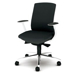 べネス 事務イス 布張り バイカラーフレーム ローバック アルミ脚 固定肘 アッシュブラック KB-BN513SL BK