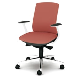 べネス 事務イス 布張り バイカラーフレーム ローバック アルミ脚 固定肘 コーラルピンク KB-BN513SL PK