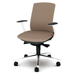 べネス 事務イス 布張り バイカラーフレーム ローバック アルミ脚 固定肘 ブラウン KB-BN513SL BR