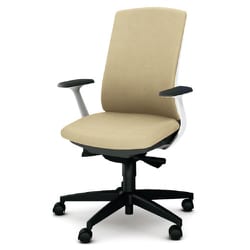 べネス 事務イス 布張り バイカラーフレーム ハイバック 樹脂脚 固定肘 ベージュ KB-BN511SL BE