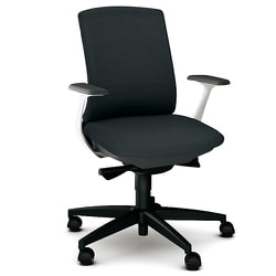べネス 事務イス 布張り バイカラーフレーム ローバック 樹脂脚 固定肘 アッシュブラック KB-BN510SL BK