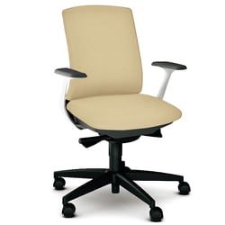 べネス 事務イス 布張り バイカラーフレーム ローバック 樹脂脚 固定肘 ベージュ KB-BN510SL BE