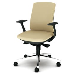 べネス 事務イス 布張り ダークグレーフレーム ローバック アルミ脚 固定肘 ベージュ KB-BN33SL BE
