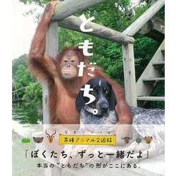【バーゲンブック】ともだち。 [単行本]