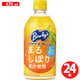 【限定】 バヤリースオレンジ PET470ml×24 [果汁]