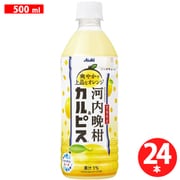 【限定】 「愛媛県産河内晩柑＆カルピス（R）」 PET500ml×24 [乳酸]