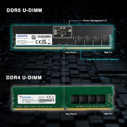 ヨドバシ.com - エイデータ ADATA AD5U480032G-DT [パソコン用メモリ