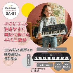 ヨドバシ.com - カシオ CASIO ミニ鍵盤キーボード 44鍵 ブラック