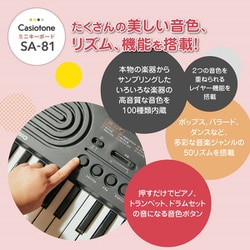 ヨドバシ.com - カシオ CASIO ミニ鍵盤キーボード 44鍵 ブラック