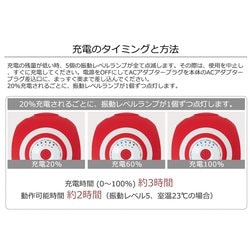 ヨドバシ.com - 東急スポーツオアシス TOKYU SPORTS OASIS スタイリーボール 充電式振動ボール 直径 10cm SLB-100  レッド 通販【全品無料配達】