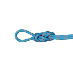 8.7 アルパインセンダードライロープ 8.7 Alpine Sender Dry Rope 8.7mm 2010-04190 11284 Dry Standard, ocean-vibrant orange 50m [ロープ]