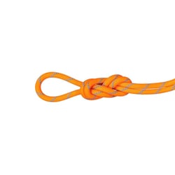 8.7 アルパインセンダードライロープ 8.7 Alpine Sender Dry Rope 8.7mm 2010-04190 11285 Dry Standard, vibrant orange-ocean 50m [ロープ]