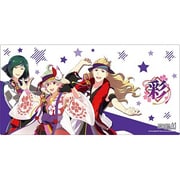 ブシロード ラバーマットコレクション V2 Vol.607 アイドルマスター SideM 彩 [トレーディングカード用品]