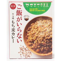 ご飯がいらないキーマ風もち麦カレー 中辛 180g [カレー]