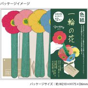 色紙 一輪の花色紙 AR0819175