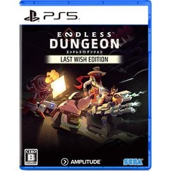 ENDLESS Dungeon Last Wish Edition [PS5ソフト]