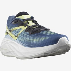 ヨドバシ.com - サロモン SALOMON AERO GLIDE L47049200 BLUE ASHES