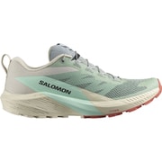 SENSE RIDE 5 L47211700 LILY PAD/RAINY DAY/BLEACHED AQUA 25.5cm [トレイルランニングシューズ メンズ]