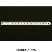 100x13mm 直尺（ステンレス製） EA720YA-10