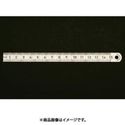 150x13mm 直尺（ステンレス製） EA720YA-15