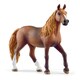 13953 [HORSE CLUB ペルビアン・パソ（メス）]