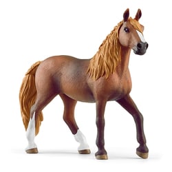 13953 [HORSE CLUB ペルビアン・パソ（メス）]
