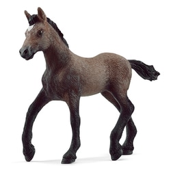 13954 [HORSE CLUB ペルビアン・パソ（仔）]
