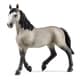 13955 [HORSE CLUB セルフランセ（メス）]