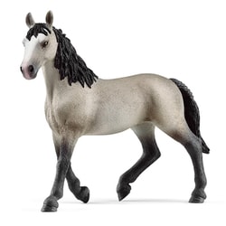 13955 [HORSE CLUB セルフランセ（メス）]