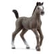13957 [HORSE CLUB セルフランセ（仔）]