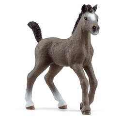 13957 [HORSE CLUB セルフランセ（仔）]