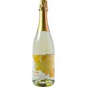サザンスカイ ソーヴィニヨンブラン スパークリング 白泡 750ml ニュージーランド/ホークスベイ [白スパークリング]