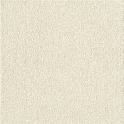 WPF01 スノー [タイルカーペット ウィズペットフロア 400×400mm 10枚組 裏面吸着加工・やわらか素材 日本製]