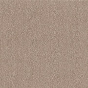 タイルカーペット ウィズペットフロア 400×400mm 10枚組 裏面吸着加工・やわらか素材 日本製 WPF03 モカ