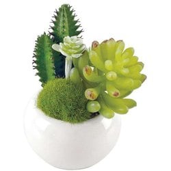 人工観葉植物 消臭アーティフィシャルグリーン サキュレントリフレリウム S タイプ2 A KH-60983
