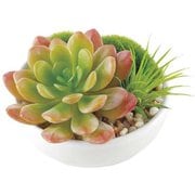 KH-60988 [人工観葉植物 消臭アーティフィシャルグリーン サキュレントリフレリウム M 丸型 B]