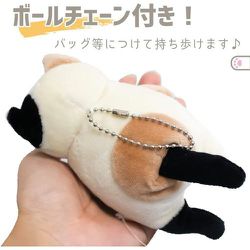 ヨドバシ.com - シナダ SHINADA MONE-0088K もちねこ クツシタ MINI 