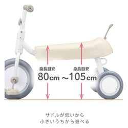 アイデス(Ides) D-Bike dax ソーダミント 【廃盤品】