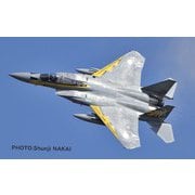 AC-69 1/72 航空自衛隊 F-15J イーグル 小松基地航空祭2014 第306飛行隊 ゴールデンイーグルス 特別塗装機 [組立式プラスチックモデル]