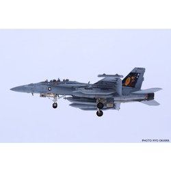 ヨドバシ.com - プラッツ PLATZ TPA-27 1/48 アメリカ海軍 電子戦機 EA-18G グラウラー 三沢基地 VAQ-131  ランサーズ 2022 [組立式プラスチックモデル] 通販【全品無料配達】