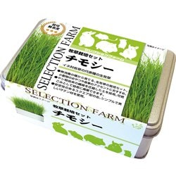 セレクションファーム 牧草栽培セット チモシー