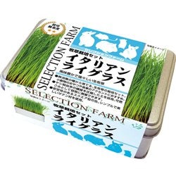 セレクションファーム 牧草栽培セット イタリアンライグラス